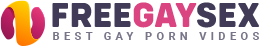 FreeGaySex.pro
